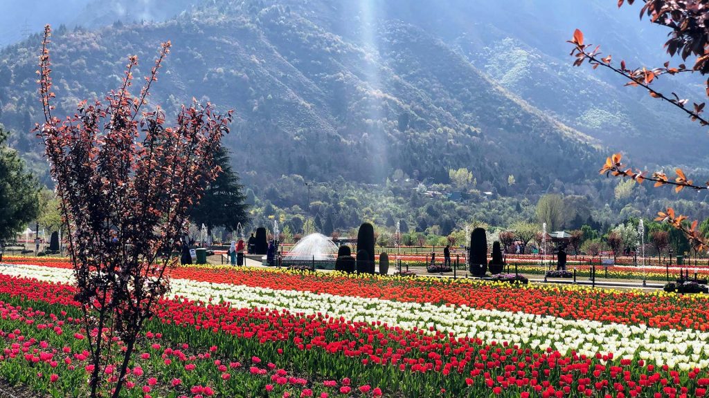 kashmir_elite_escapes_7